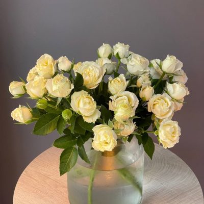 Роза кустовая белая